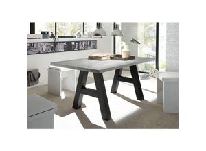 4063912060599 - Esszimmertisch Elia 8 140 x 90 x 75 Esstisch Schwarzstahl Beton 13309-140