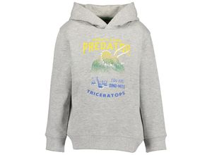 4063948771629 - - Kapuzen-Sweatshirt PREDATOR in nebel melange Gr92