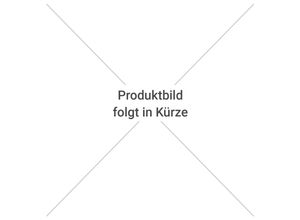 4063955012128 - Duschkabine  Duschabtrennung Vital 2 Drehtür an Festteil rechts + Duschwand links (Kombination) rechts 900mm links 1000mm