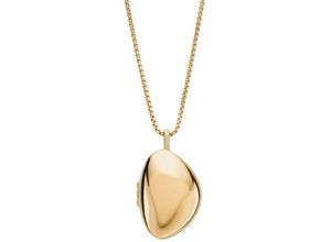 4064092227116 - Kette mit Anhänger SKAGEN KARIANA PEBBLE MEDAILLON SKJ1752710 Halsketten Gr Edelstahl gelb (gelbgoldfarben) Damen Ketten mit Anhänger