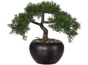 4064118039693 - Kunstpflanze CREATIV GREEN Bonsai Kunstpflanzen Gr H 26 cm 1 St grün Künstliche Zimmerpflanzen