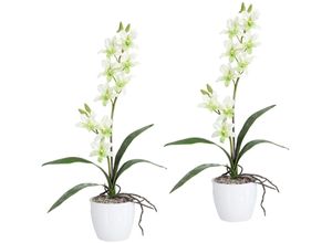 4064118040026 - Kunstpflanze CREATIV GREEN Orchidee Dendrobie Kunstpflanzen Gr H 60 cm 2 St grün Künstliche Zimmerpflanzen Kunstpflanzen im Keramiktopf