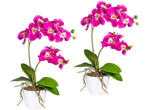 4064118040842 - Kunstpflanze CREATIV GREEN Orchidee Phalaenopsis Kunstpflanzen Gr H 60 cm 2 St pink Künstliche Zimmerpflanzen Kunstpflanzen im Keramiktopf