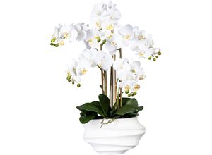 4064118072157 - Kunstorchidee CREATIV GREEN Phalaenopsis Kunstpflanzen Gr H 75 cm 1 St weiß Kunst-Orchideen Kunstpflanzen in Design-Kunststoffvase