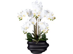 4064118072188 - Kunstorchidee CREATIV GREEN Phalaenopsis Kunstpflanzen Gr H 75 cm 1 St weiß Kunst-Orchideen Kunstpflanzen in Design-Kunststoffvase