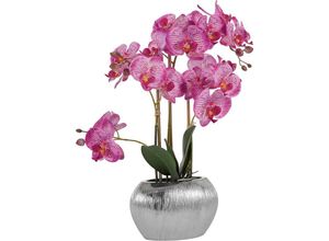 4064118072911 - Kunstpflanze HOME AFFAIRE Orchidee Kunstpflanzen Gr B H 20 cm x 55 cm 1 St lila Künstliche Zimmerpflanzen Kunstpflanzen Kunstorchidee im Topf