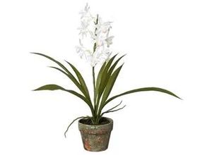 4064118073130 - Kunstpflanze 1121054LO-40