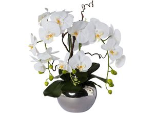 4064118077503 - Kunstorchidee CREATIV GREEN Phalaenopsis Kunstpflanzen Gr H 55 cm 1 St weiß Kunstorchidee Kunst-Orchideen Kunstpflanzen im Keramiktopf