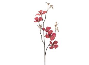 4064118083061 - Kunstblume Coruszweig (H 71 cm) 4064118083061 - Kunstblume Coruszweig (H 71 cm)