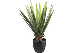 4064118109136 - Dracaena Kunststofftopf Höhe 700 mm
