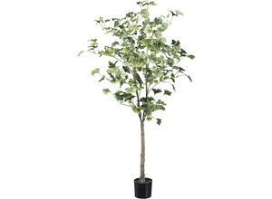 4064118109655 - Künstliche Pflanze Gingkobaum Kunststofftopf Höhe 1200 mm kaiserkraft 4064118109655 - Künstliche Pflanze Gingkobaum Kunststofftopf Höhe 1200 mm kaiserkraft