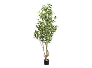 4064118110309 - Kunstpflanze Laurus 4064118110309 - Kunstpflanze Laurus
