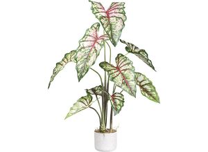 4064118110507 - Künstliche Pflanze Syngonium Melamintopf Höhe 1000 mm kaiserkraft