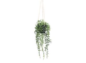 4064118110743 - Kunstpflanze Senecio 4064118110743 - Kunstpflanze Senecio