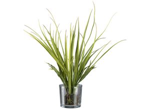 4064118117377 - Kunstgras CREATIV GREEN Wiesengras im Ballen und mit Glas grün H50cm Obermaterial 100% Polyethylen Kunstpflanzen