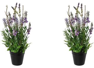 4064118117407 - Kunstblume »Lavendel im Topf« Lavendel Creativ green Höhe 35 cm lila