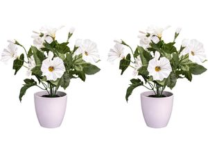 4064118118657 - Kunstblume CREATIV GREEN Mohn Kunstpflanzen Gr Ø H 22 cm x 28 cm 2 St weiß Kunst-Blumen mit dekorativer Blüte
