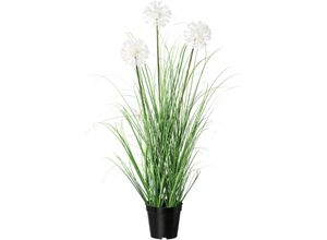 4064118137092 - Kunstgras CREATIV GREEN Grasbusch mit Pusteblume grün H78cm Obermaterial 100% Polyethylen Kunstpflanzen 4064118137092 - Kunstgras CREATIV GREEN Grasbusch mit Pusteblume grün H78cm Obermaterial 100% Polyethylen Kunstpflanzen