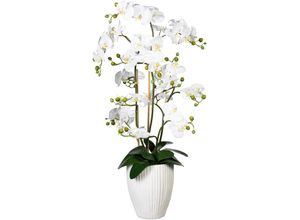 4064118137313 - Kunstorchidee CREATIV GREEN Deko-Orchidee Phalaenopsis XL im Keramiktopf Kunstpflanzen Gr B H L 50 cm x 110 cm x 40 cm 1 St weiß Kunst-Orchideen