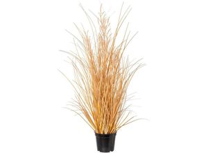 4064118137375 - Kunstgras CREATIV GREEN Grasbusch Carex Kunstpflanzen Gr H 60 cm 1 St beige (natur) Kunst-Gräser