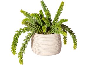 4064118138112 - Künstliche Zimmerpflanze CREATIV GREEN Sedum im Zementtopf Kunstpflanzen Gr H 25 cm 1 St grün Künstliche Zimmerpflanzen