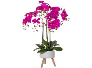 4064118138273 - Kunstorchidee CREATIV GREEN Orchidee Phalaenopsis in Keramikschale Kunstpflanzen Gr H 75 cm 1 St lila Kunst-Orchideen mit Real-Touch-Blüten und auf Füßen