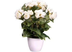 4064118138488 - Kunstblume CREATIV GREEN Begonienbusch Kunstpflanzen Gr H 35 cm 1 St beige (creme) Kunst-Blumen