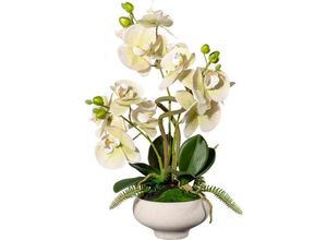 4064118138877 - Kunstorchidee CREATIV GREEN Orchidee Phalaenopsis im Keramiktopf Kunstpflanzen Gr H 50 cm 1 St grün Kunst-Orchideen