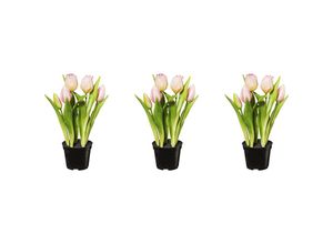 4064118139171 - Tulpen real touch im Topf Höhe 250 mm VE 3 Stk rosa