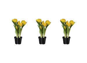 4064118139249 - Gefüllte Tulpen real touch im Topf Höhe 250 mm VE 3 Stk gelb