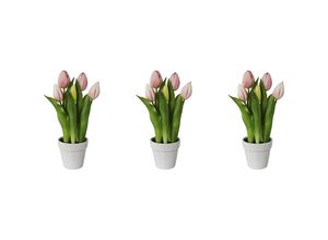 4064118139324 - Tulpen real touch im Keramiktopf Höhe 250 mm VE 3 Stk rosa