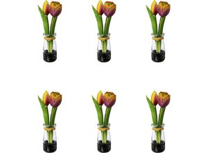 4064118139461 - Tulpen in Glasvase Höhe 210 mm VE 6 Stk mauve-gelb