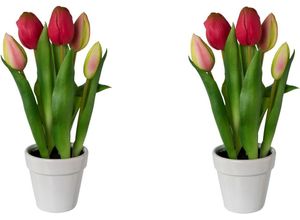 4064118140856 - Kunsttulpe MY HOME Tulpen im Topf Kunstpflanzen Gr H 25 cm 2 St pink Kunstpflanzen