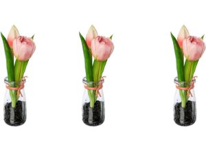 4064118141310 - Kunsttulpe MY HOME Tulpen in Vase Kunstpflanzen Gr H 21 cm 3 St rosa Kunstpflanzen
