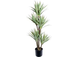 4064118144229 - Künstliche Zimmerpflanze CREATIV GREEN Dracaena draco Kunstpflanzen Gr Ø H 40 cm x 110 cm 1 St grün Künstliche Zimmerpflanzen im Topf