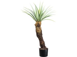 4064118181477 - Kunstpflanze CREATIV GREEN Yucca Rostrata Kunstpflanzen Gr H 93cm grün (grün grau) mit außergewöhnlichem Stamm