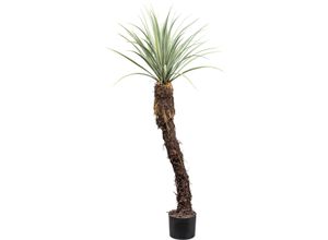 4064118181484 - Kunstpflanze CREATIV GREEN Yucca Rostrata grün (grün grau) H120cm Kunstpflanzen mit außergewöhnlichem Stamm