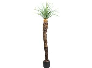 4064118181491 - Kunstpflanze CREATIV GREEN Yucca Rostrata Kunstpflanzen Gr H 150 cm 1 St grün (grün grau) mit außergewöhnlichem Stamm