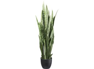 4064118181538 - Künstliche Zimmerpflanze CREATIV GREEN Sanseveria grün H11cm Ø50cm Kunstpflanzen mit detailgetreuen Blättern