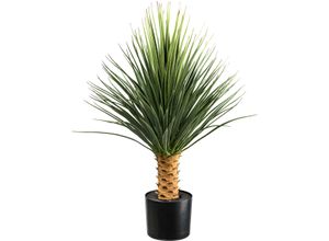 4064118181569 - Kunstpflanze CREATIV GREEN Yucca Rostrata auf Stamm Kunstpflanzen Gr H 85 cm 1 St grün (grün grau) auf Stamm