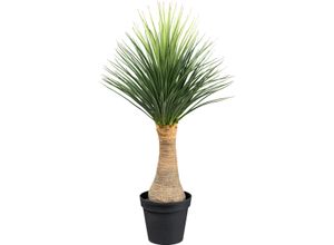 4064118181576 - Kunstpflanze CREATIV GREEN Yucca Nolina Recurvata Kunstpflanzen Gr H 110 cm 1 St grün (grün grau) auf Stamm