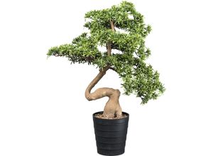 4064118181668 - Kunstbonsai CREATIV GREEN Bonsai Steineibe Kunstpflanzen Gr B H 30 cm x 23 cm 1 St grün Kunst-Bonsai in toller Größe