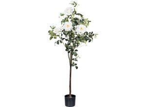 4064118181750 - Kunstblume CREATIV GREEN Rosenstock Kunstpflanzen Gr H 155 cm 1 St beige (creme) mit 5 Blüten und 7 Knospen