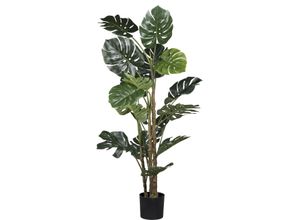 4064118181958 - Künstliche Zimmerpflanze CREATIV GREEN Splitphilodendron Kunstpflanzen Gr H 160 cm 1 St grün mit detailgetreuem Blattwerk