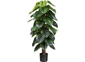 4064118181972 - Künstliche Zimmerpflanze CREATIV GREEN Philodendron Scandens grün H150cm Kunstpflanzen mit Kokosfasern am Stamm