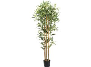 4064118182078 - Kunstbaum Bambus Ficus Benjamini Creativ green Höhe 180 cm mit echten Bambusstäben grün