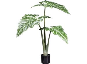 4064118182139 - Künstliche Zimmerpflanze CREATIV GREEN Colocasia White Lava Kunstpflanzen Gr H 130 cm 1 St grün mit außergewöhnlichem Blattwerk