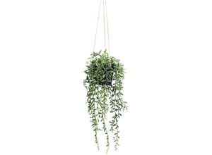 4064118182337 - Kunstpflanze CREATIV GREEN Hängepflanze Senecio Herreianus grün H55cm Kunstpflanzen mit schönen Hängezweigen 4064118182337 - Kunstpflanze CREATIV GREEN Hängepflanze Senecio Herreianus grün H55cm Kunstpflanzen mit schönen Hängezweigen