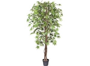 4064118182412 - Kunstbaum CREATIV GREEN Japanischer Fächerahorn Kunstpflanzen Gr H 200 cm 1 St grün mit Naturstamm