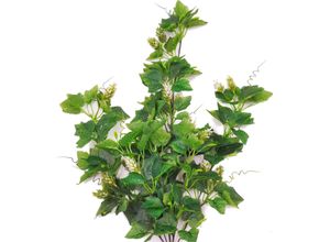 4064118182481 - Kunstranke CREATIV GREEN Hopfen-Hängepflanze weiß H80cm Kunstpflanzen mit Blüten